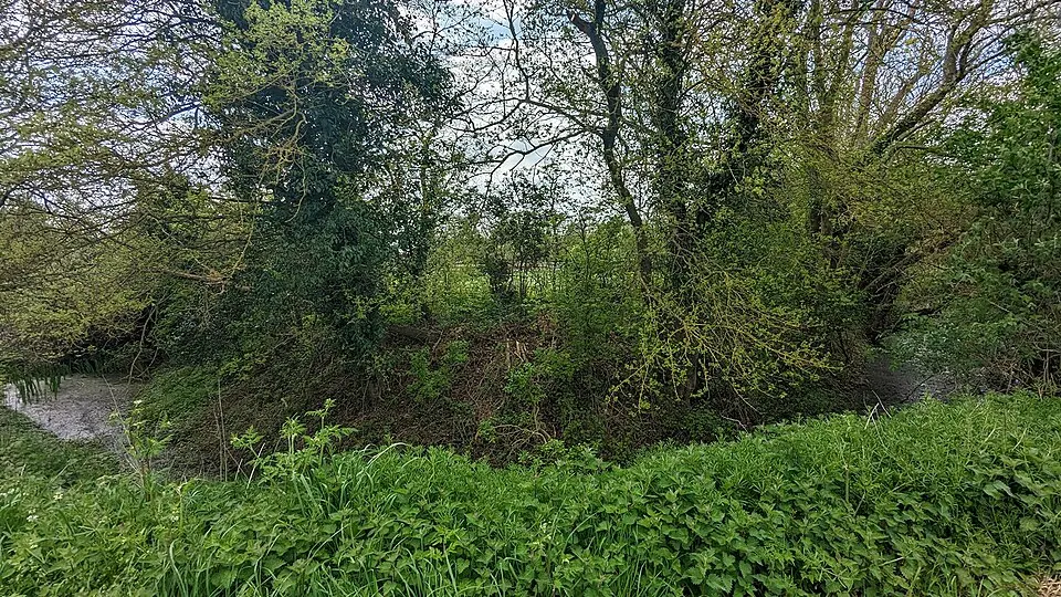 Burgate Hall moated site