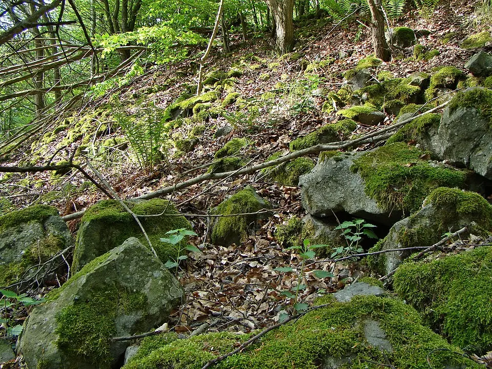 Wallburg Großenritte