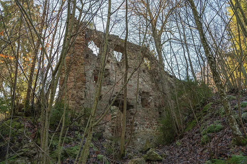 Burg Neu-Tannegg