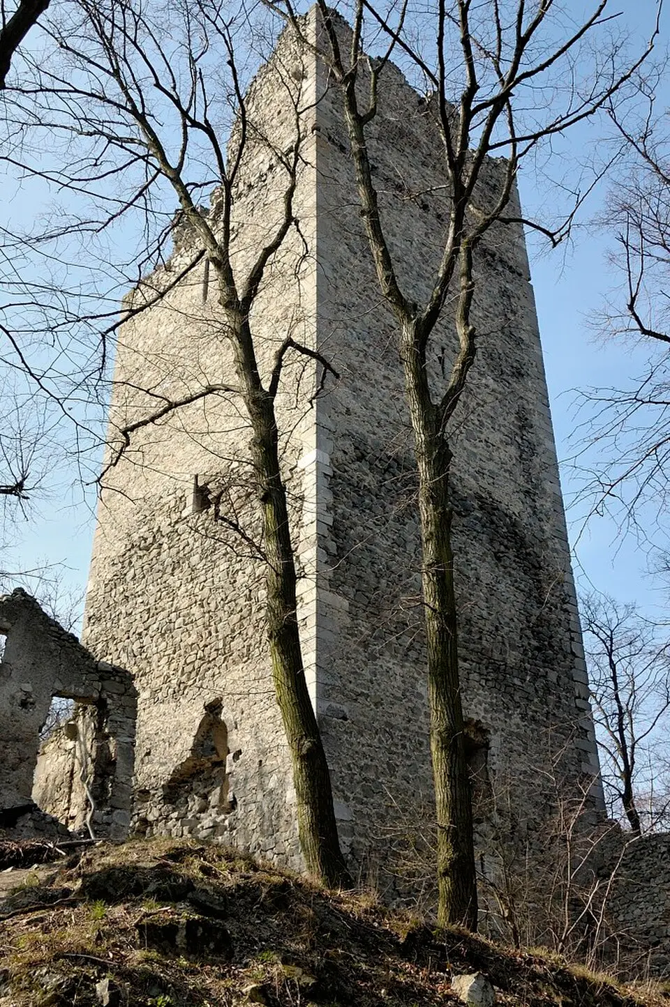 Bild: Doronenko · CC BY-SA 3.0 AT Burg Pottenburg