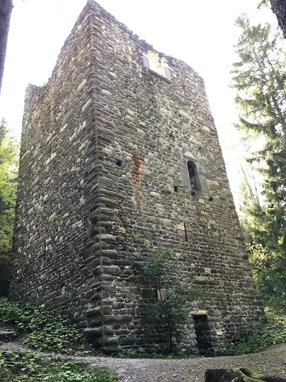 Burgruine Reifenegg