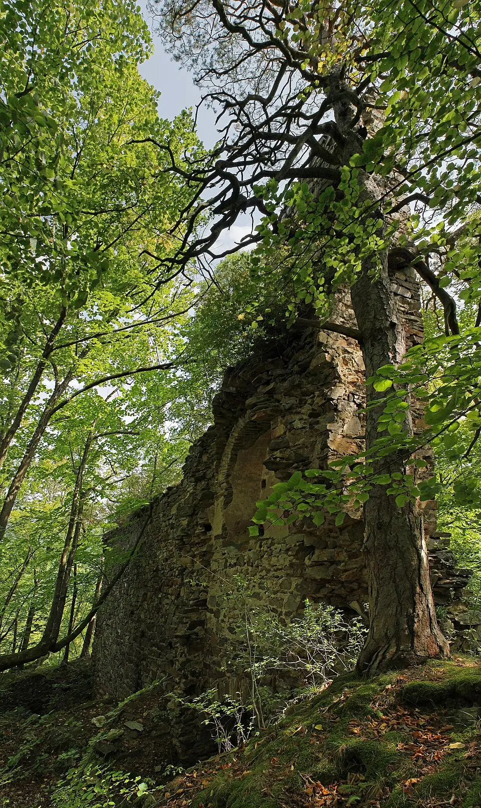 Bild: Duke of W4 · CC BY-SA 3.0 AT Burgruine Steinegg
