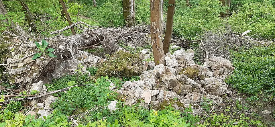 Burg Waldeck (Odenwald)