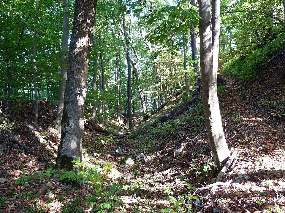 Burg Spitzenberg