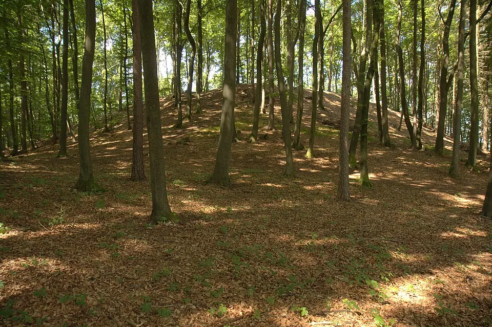 Slika: Sven-121 · CC0 Burgstall Burgstein