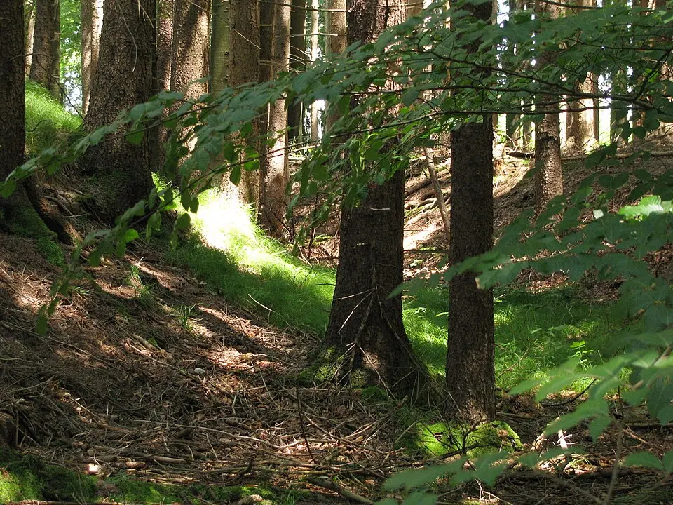 Burgstall Fußstain