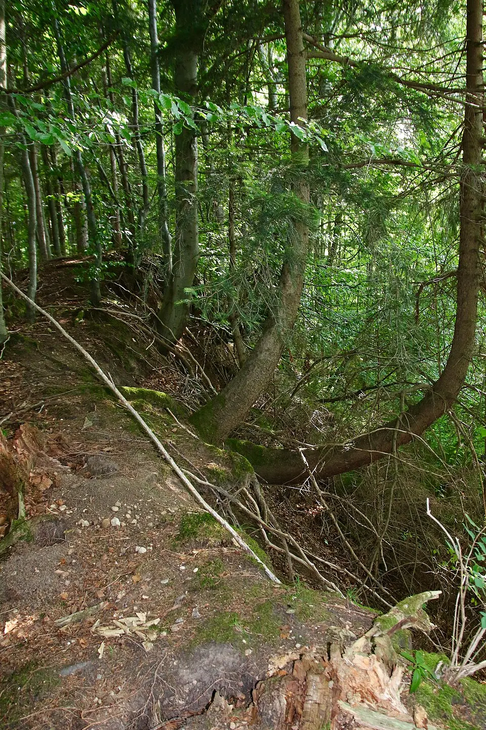 Obrázek: Lothur · CC0 Burgstall Greut