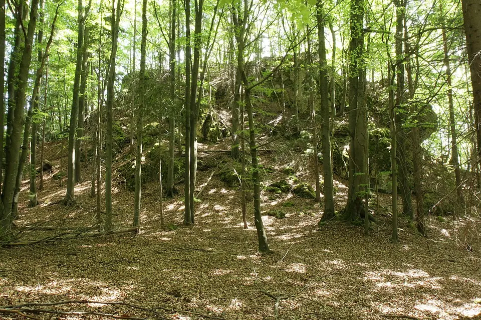 Burgstall im Eibental