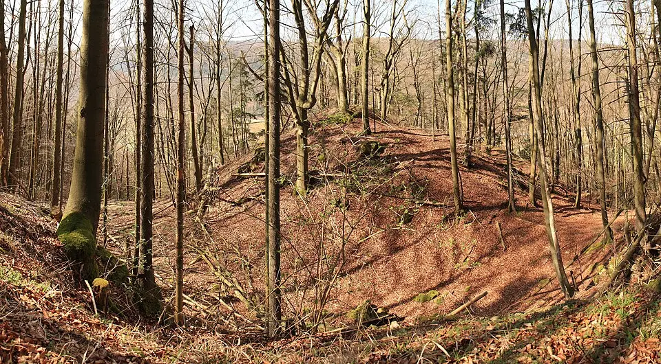 Burgstall Lichtenroth