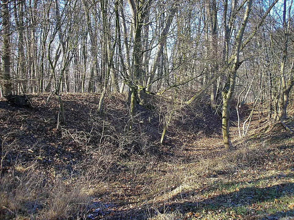 Burgstall Mühlhausen