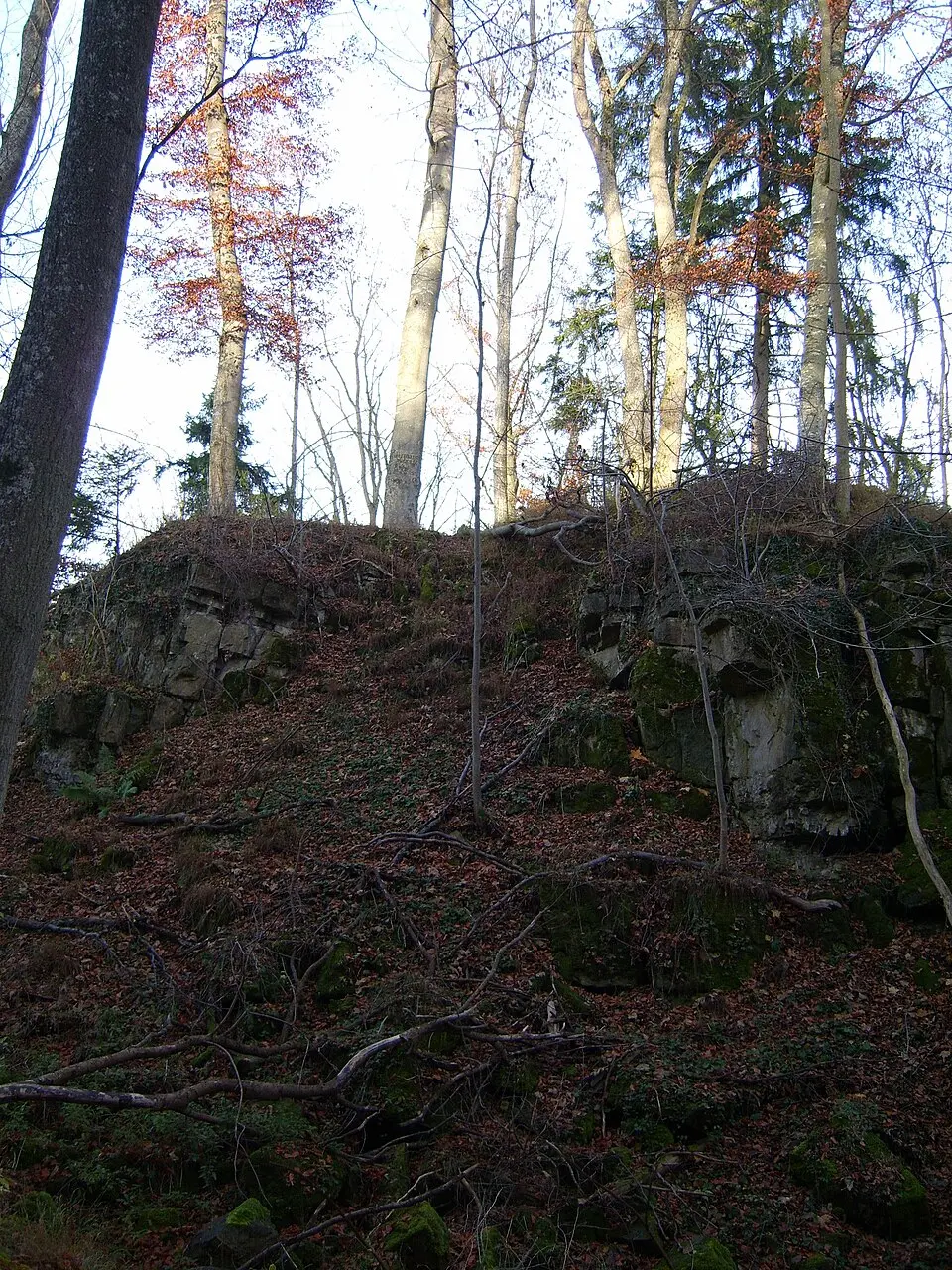 Burgstall Nussburg