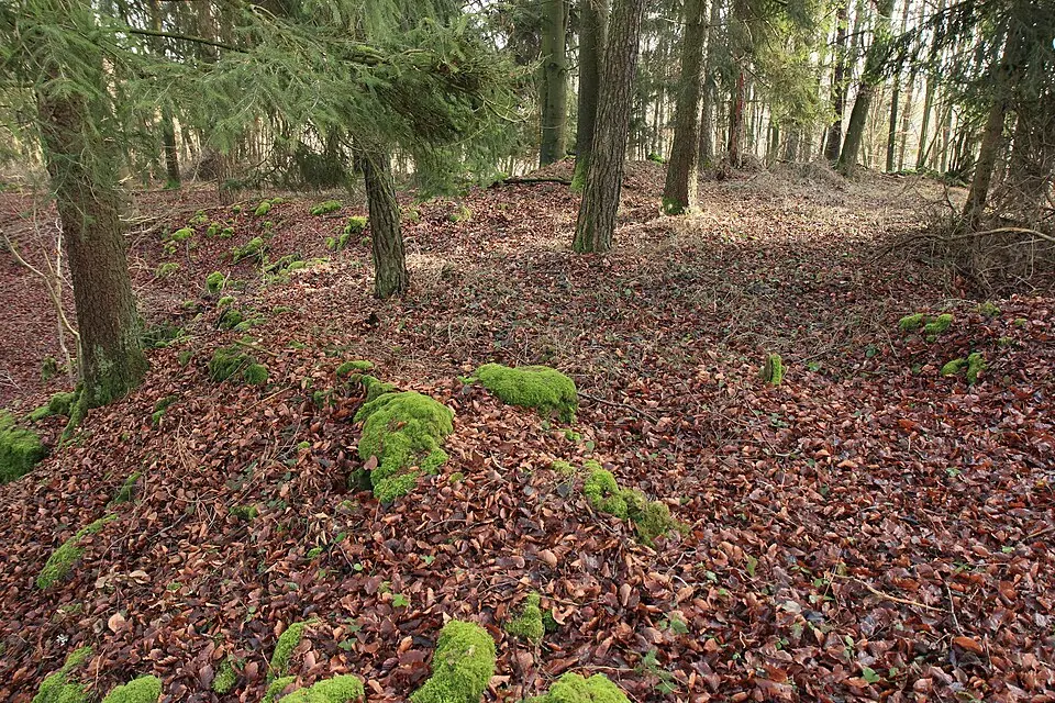 Slika: Sven-121 · CC0 Burgstall Oedenthurn