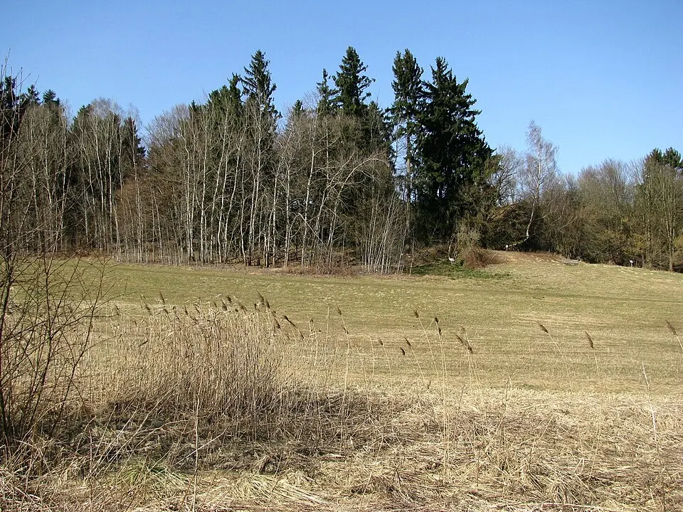 Obrázek: Gras-Ober · CC BY-SA 3.0 Burgstall Parsberg