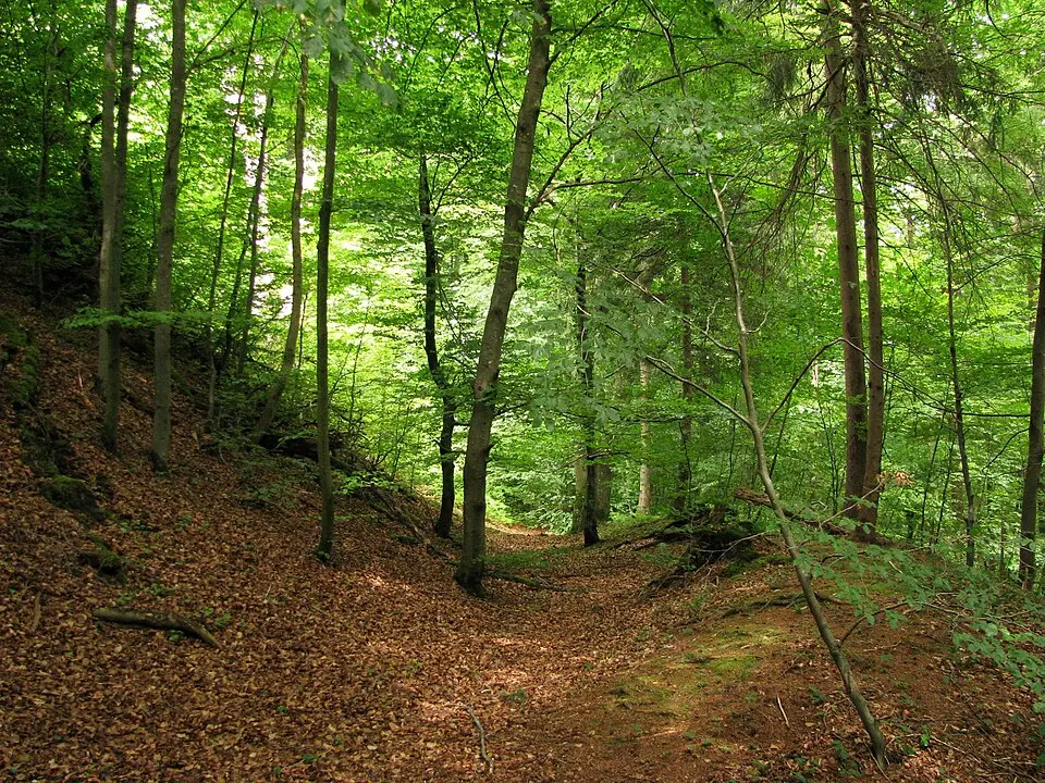 Burgstall Schlossberg