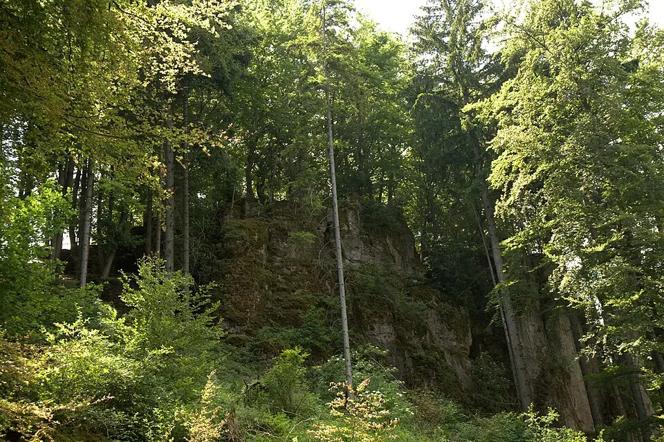 Image: Sven-121 · CC0 Burgstall Thürsnacht