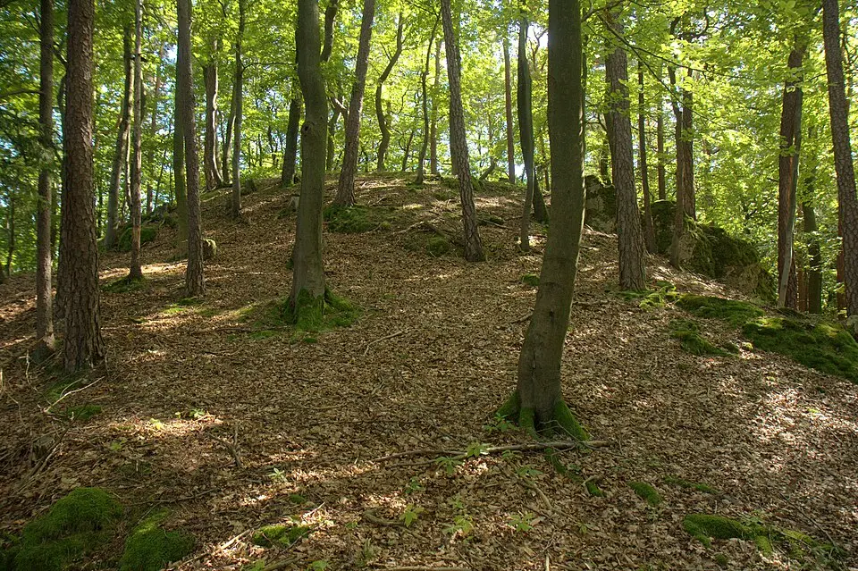 Burgstall Werdenstein