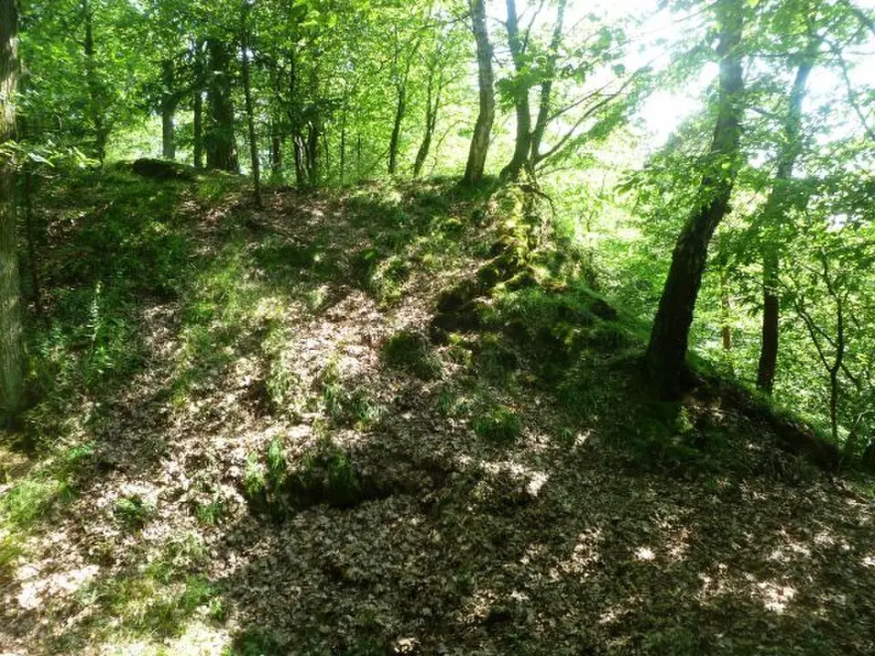 Burgstall Wolfsbach