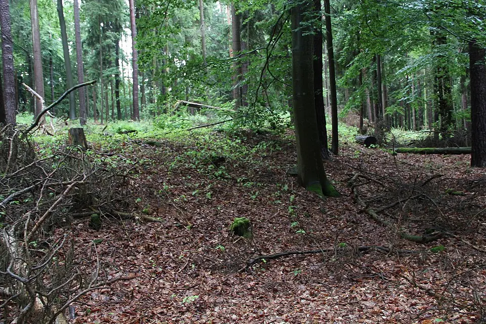 Burgstall Freudeneck