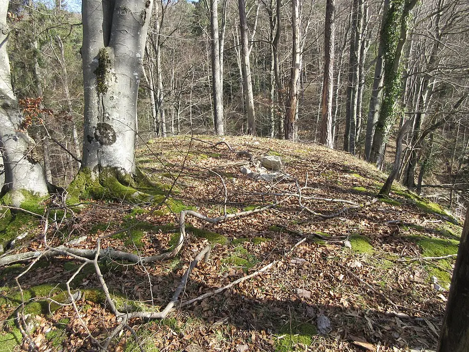 Bild: Kvgunten · CC BY-SA 4.0 Burgstelle Altschloss