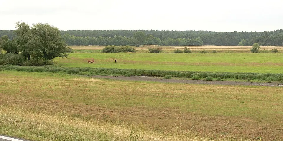 Burgwall von Meetschow