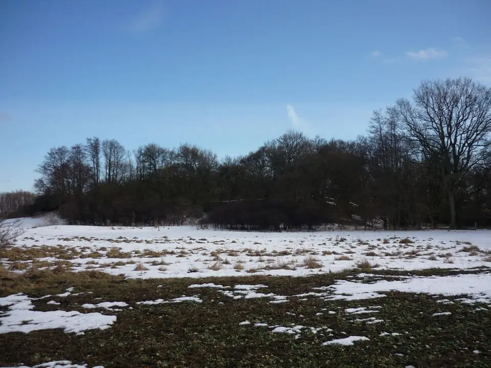 Kép: RonnyKrüger · CC0 Burgwall Neu Nieköhr