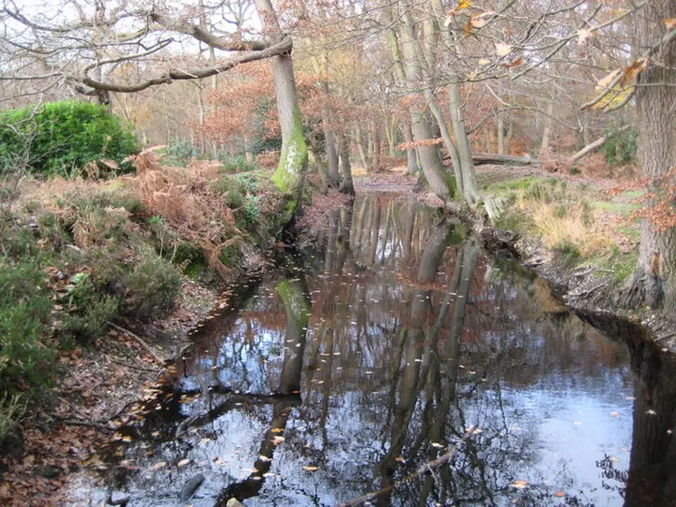 Hartley Court moated site and enclosure