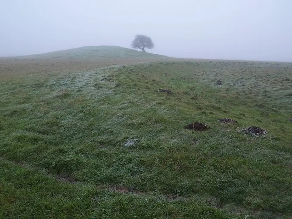 Bush Barrow