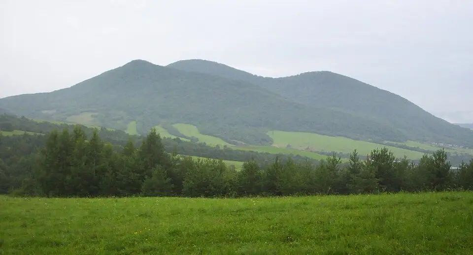 Busov