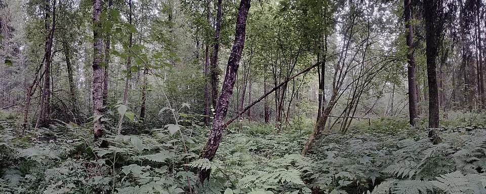 Buttekvern naturreservat