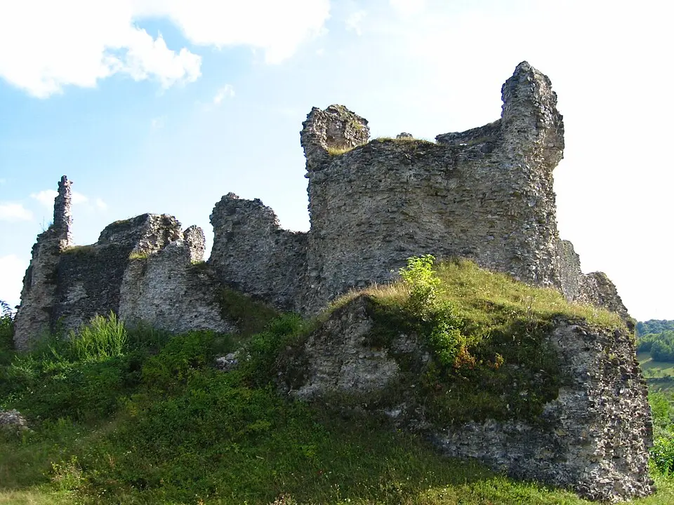 Bužimska tvrđava