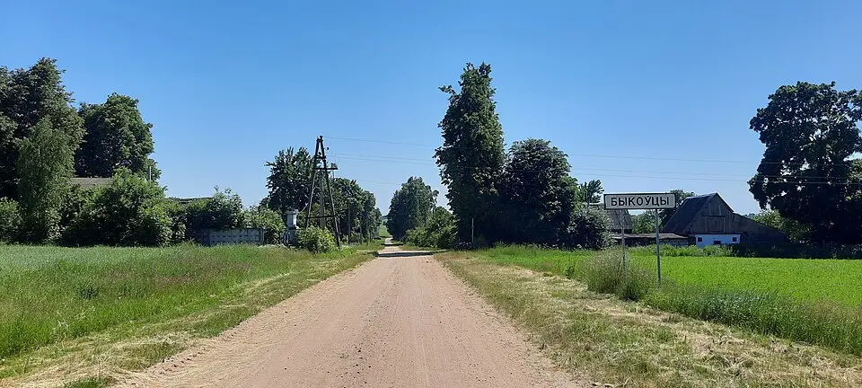 Bykoŭcy
