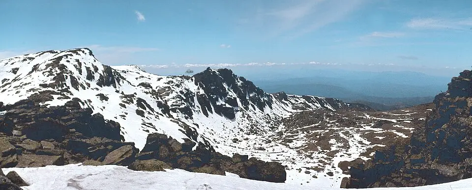 Calvitero