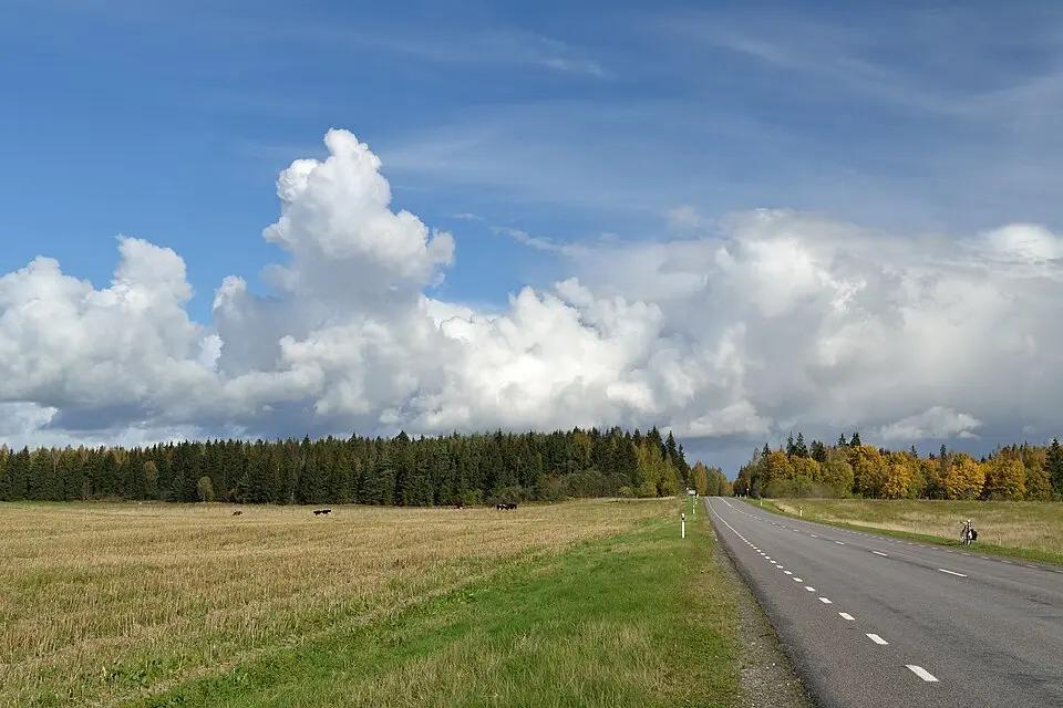 Ääsmäe–Haapsalu–Rohuküla maantee