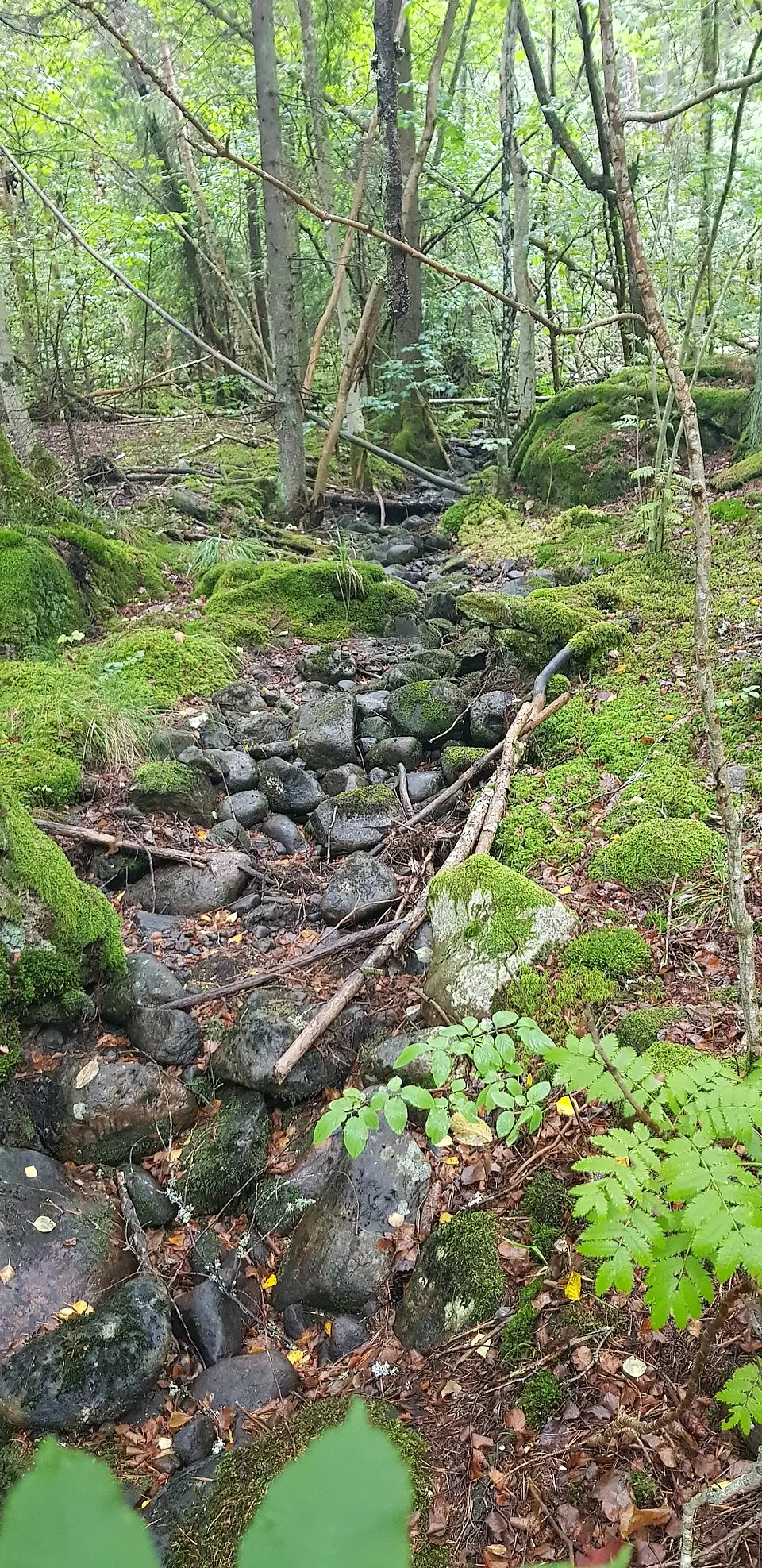 Älgtjärnarna