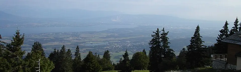 Canton Ginevra