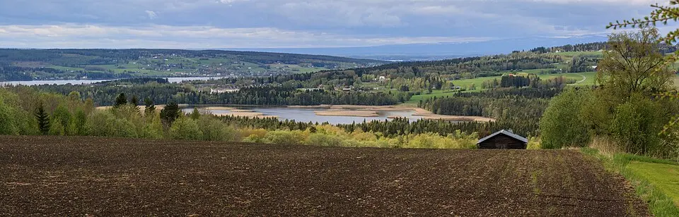 Ändsjöns naturreservat