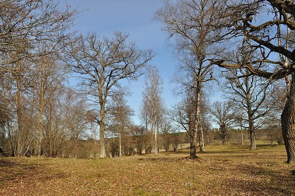 Ängbacken