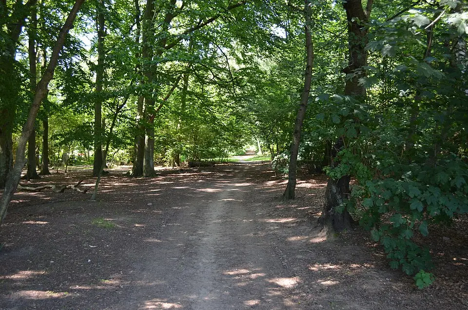 Ättekulla naturreservat