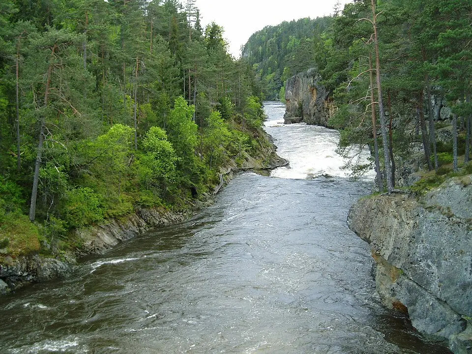 Ågårdselva