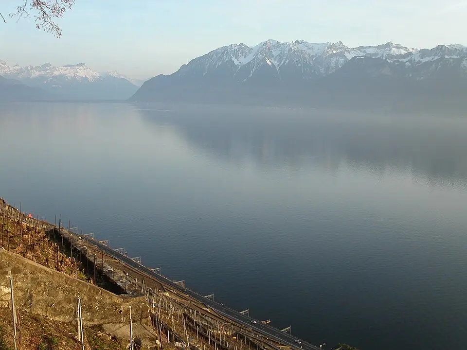 Vaud