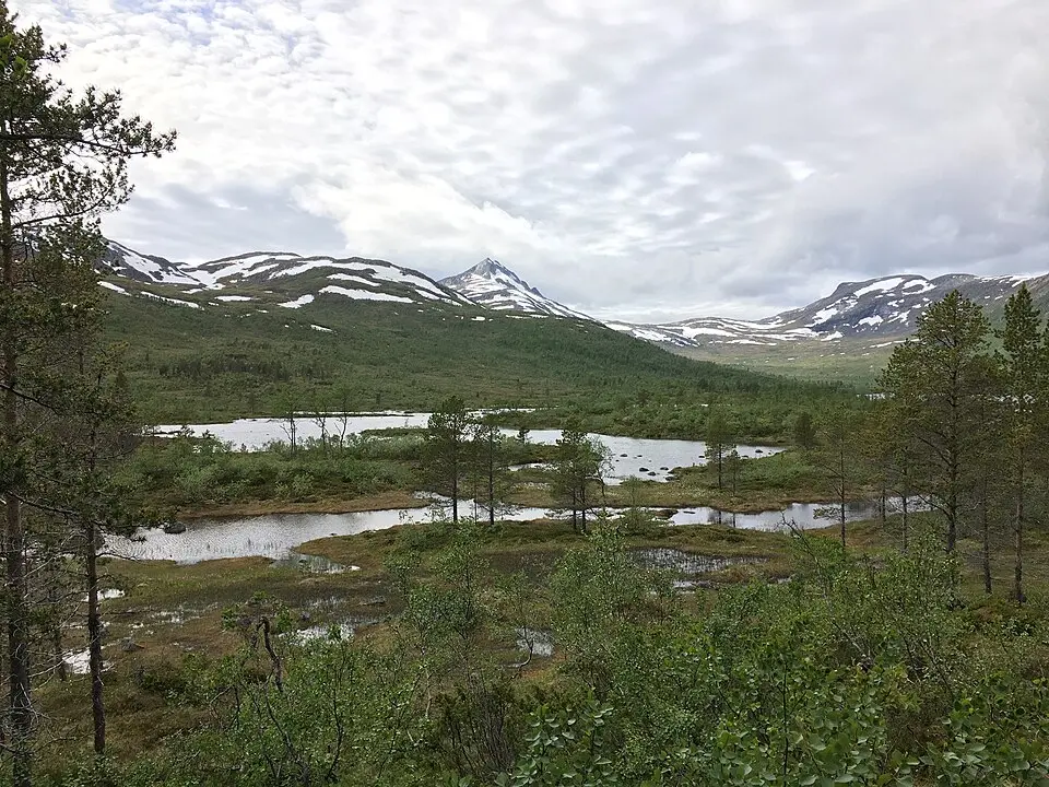 Ånderdalen National Park