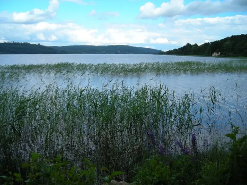 Åsunden