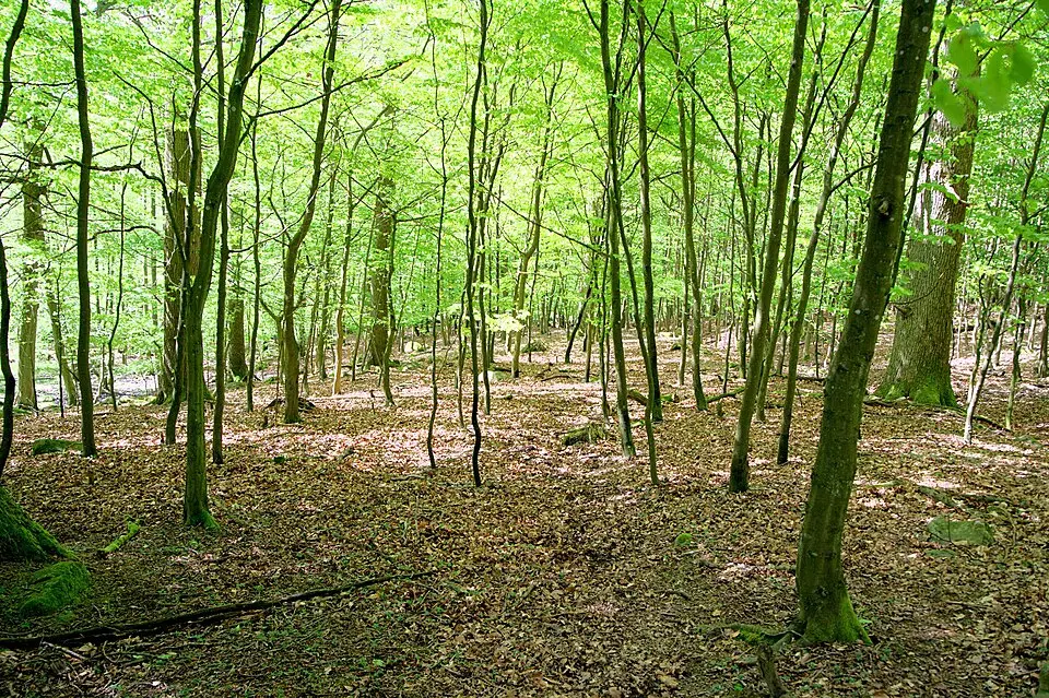 Åvarps naturreservat