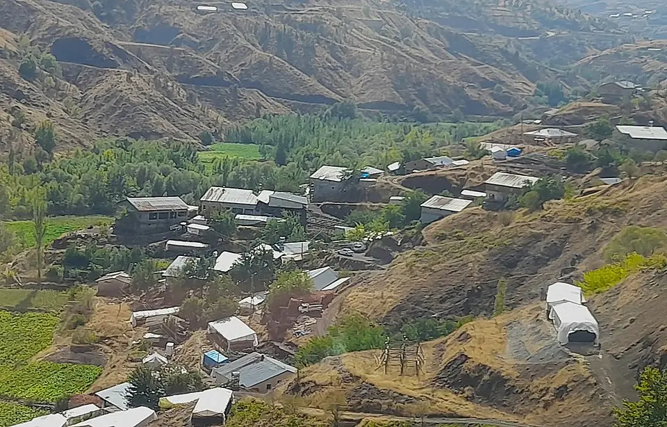Çatalağaç