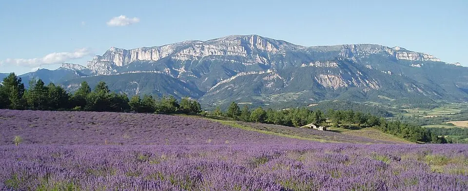 Pié Ferré