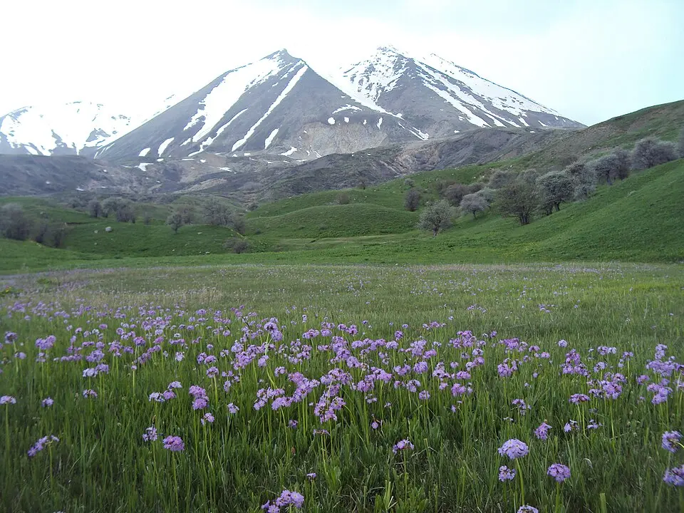 Aras Dağları