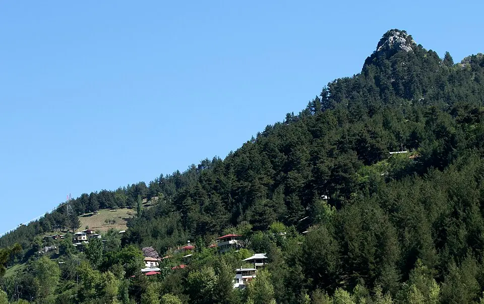 Çulluuşağı