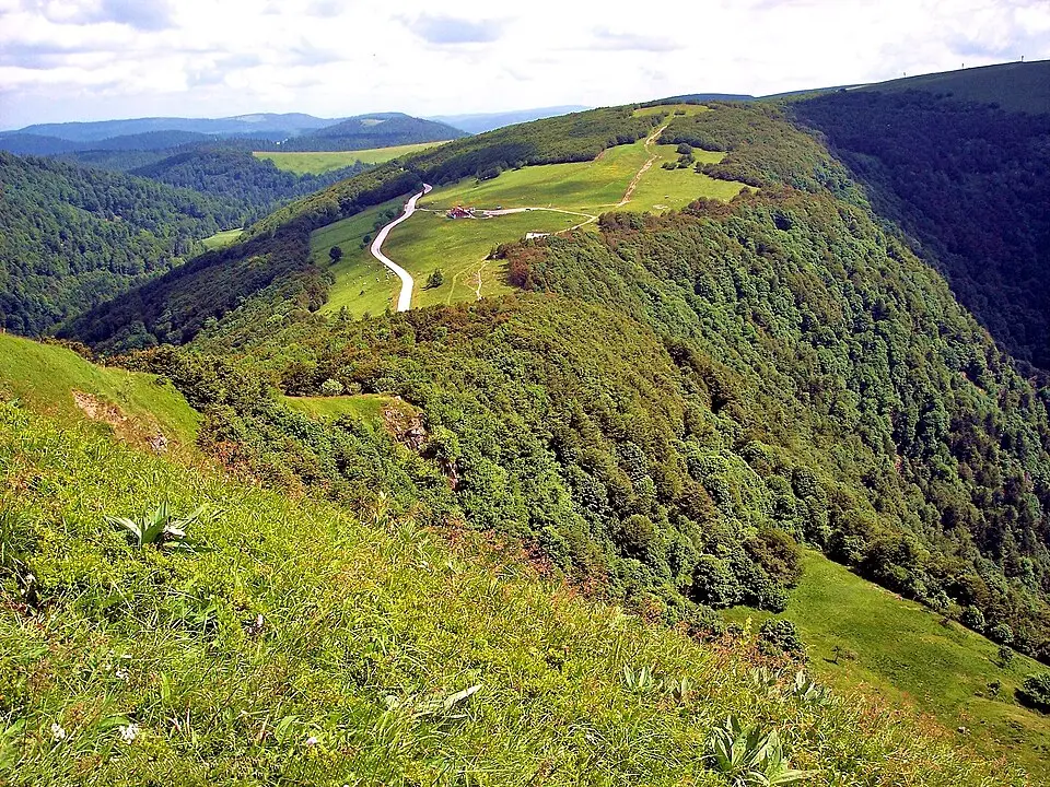 Département Vosges