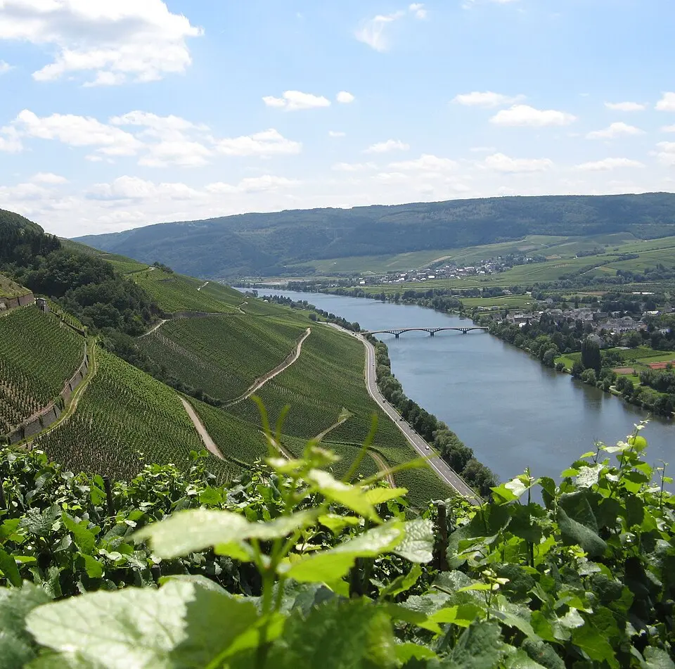 Mosel