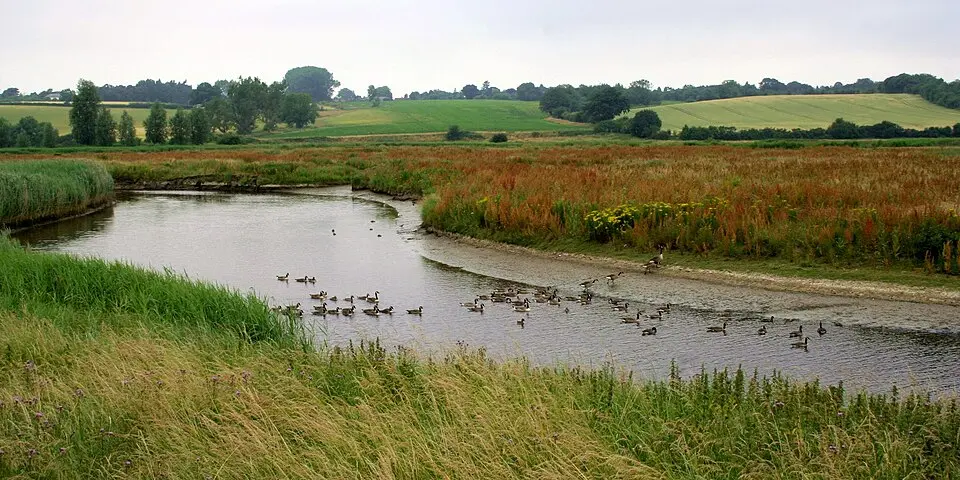 Dedham Vale
